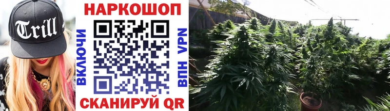 Где купить наркотики Безенчук Канабис  Кокаин  Галлюциногенные грибы  Alpha-PVP  Меф  ГАШИШ 