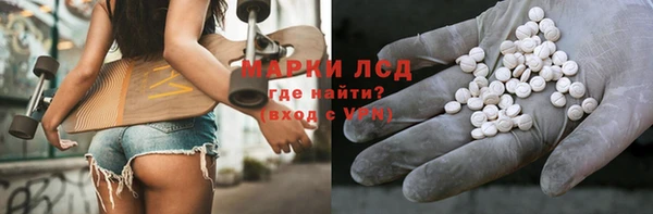 ECSTASY Алзамай