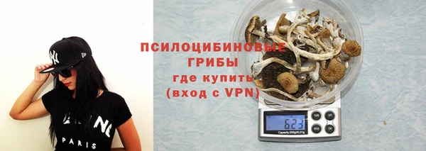 эйфоретик Алексеевка