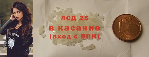 ECSTASY Алзамай
