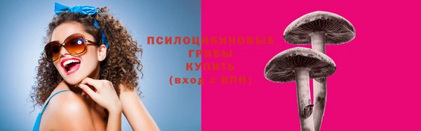 ECSTASY Алзамай