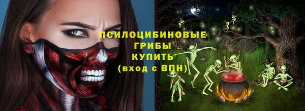 ECSTASY Алзамай