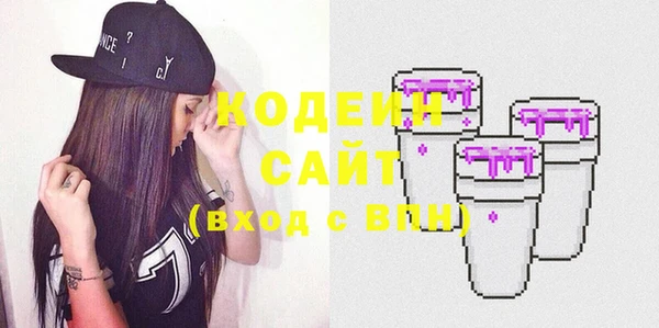 ECSTASY Алзамай
